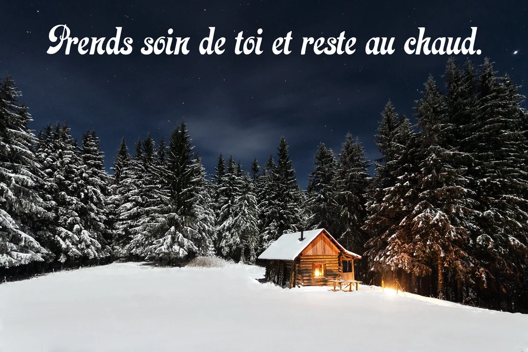 Un chalet en bois isolé dans un paysage nocturne enneigé, avec des sapins et un ciel étoilé, une lumière chaude provenant de l'intérieur.