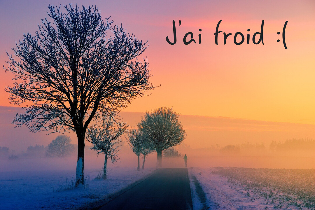 Un paysage hivernal enneigé et brumeux au crépuscule, avec une route bordée d'arbres nus et une silhouette humaine marchant au loin.