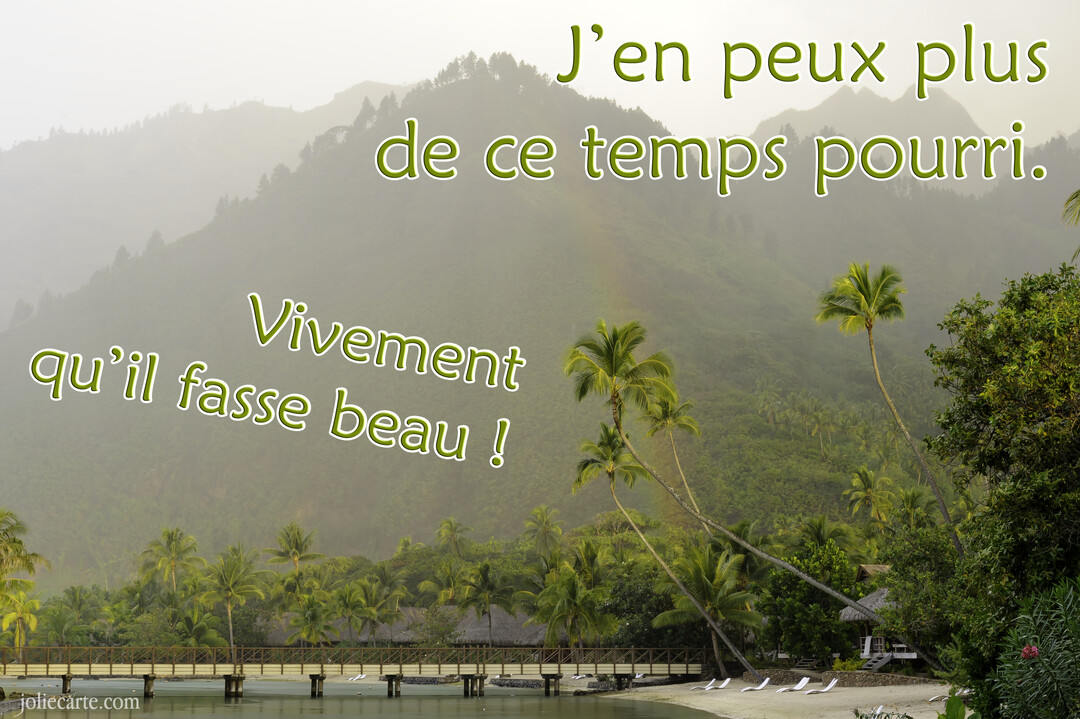 Une plage tropicale avec des palmiers et un ponton, sous un ciel brumeux, avec une montagne luxuriante et un faible arc-en-ciel en arrière-plan.