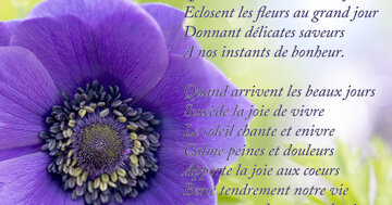 Aperçu de la carte : « Quand arrivent les beaux jours, éclosent les fleurs... succède la joie de vivre... »
