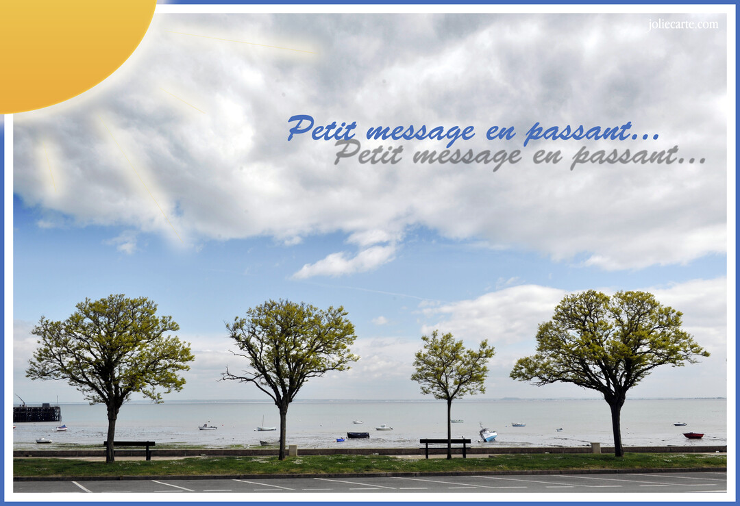 Une scène de bord de mer en été avec quatre arbres verts alignés devant une mer calme sous un ciel bleu et nuageux.