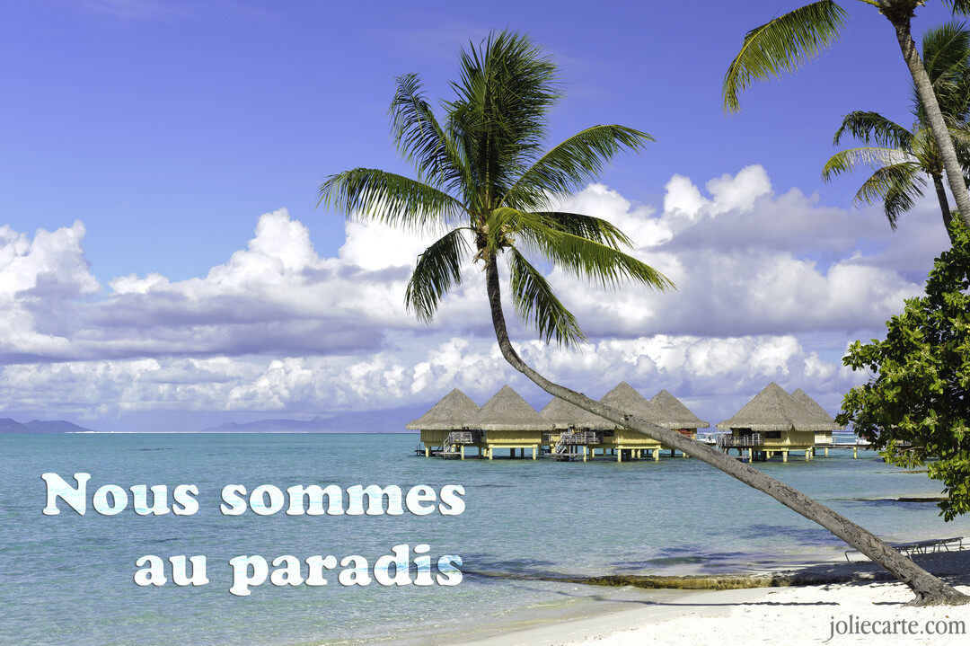 Paysage de plage tropicale en journée, avec un palmier penché sur le sable blanc, une mer turquoise et des bungalows sur pilotis à l'horizon.
