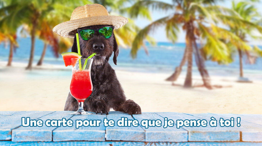 Un chien noir coiffé d'un chapeau et de lunettes de soleil est assis à une table en bois, devant un cocktail sur une plage tropicale.