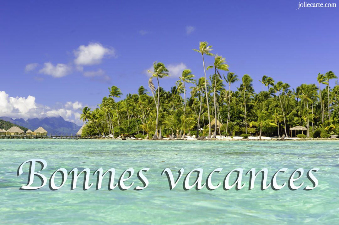 Paysage tropical d'une île avec une plage de sable blanc, des palmiers luxuriants, des bungalows sur l'eau turquoise et un ciel bleu.