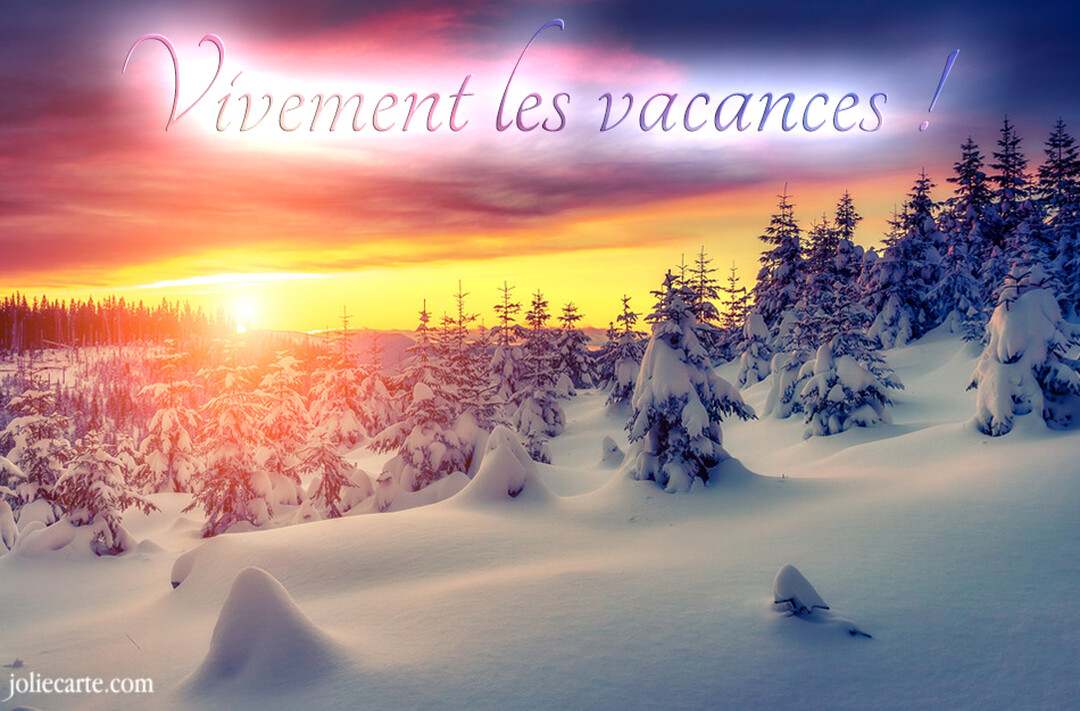 Paysage hivernal avec des sapins chargés de neige sous un ciel coloré par un soleil levant ou couchant à l'horizon.