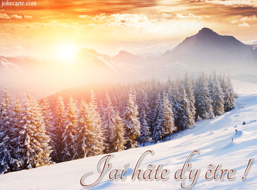 Une vue panoramique d'un paysage montagneux hivernal, où le soleil levant projette une lumière dorée sur les sommets et les sapins enneigés.