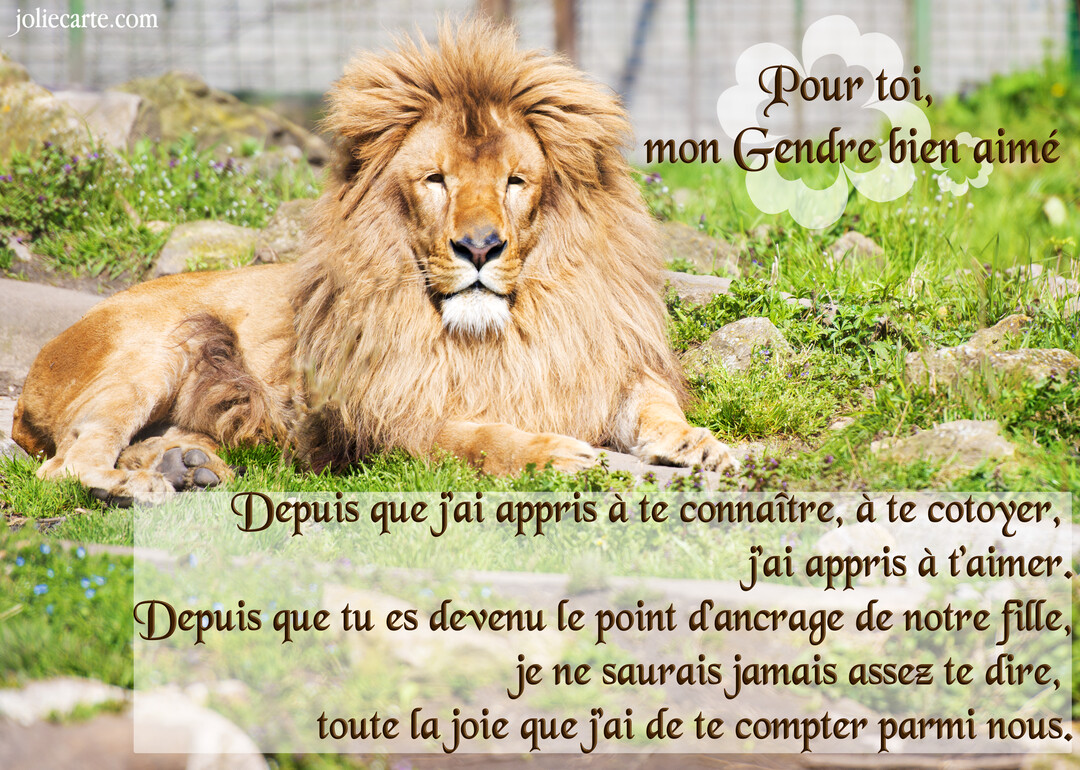 Un lion mâle à la crinière épaisse est couché dans l'herbe, regardant droit devant, avec un texte poétique superposé exprimant de l'affection.