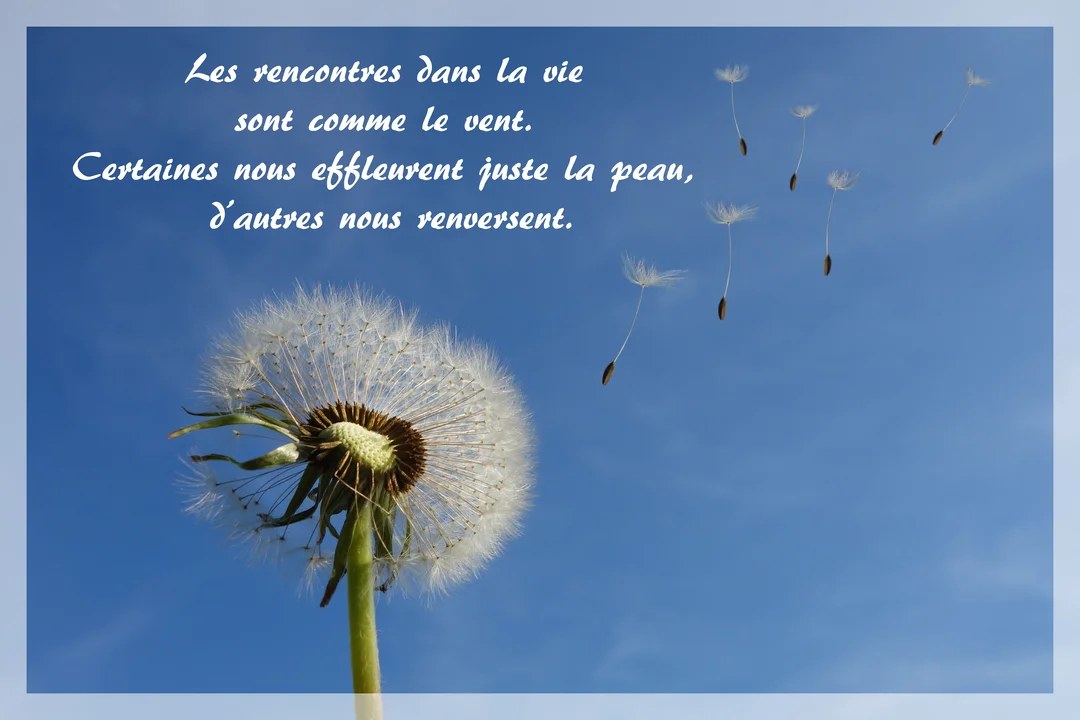 Photographie en gros plan d'un pissenlit blanc dont plusieurs aigrettes s'envolent dans un ciel d'un bleu pur, avec un texte poétique.