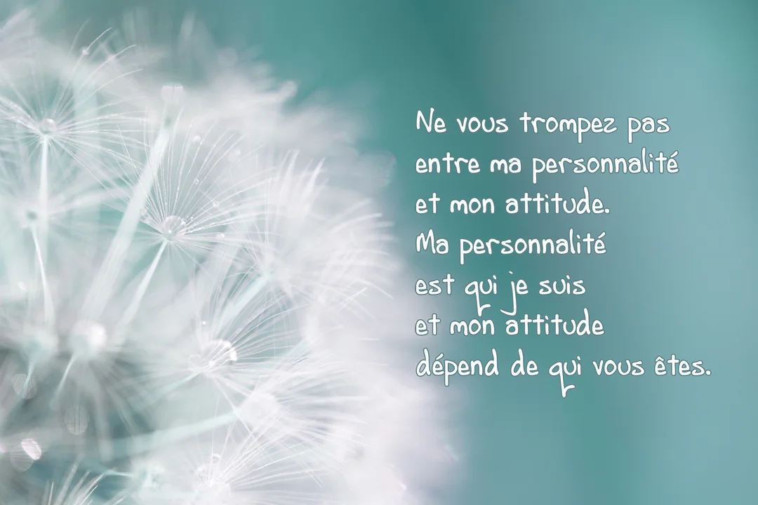En gros plan, des aigrettes de pissenlit blanches et délicates ornées de gouttes d'eau, sur un fond uni de couleur vert d'eau.