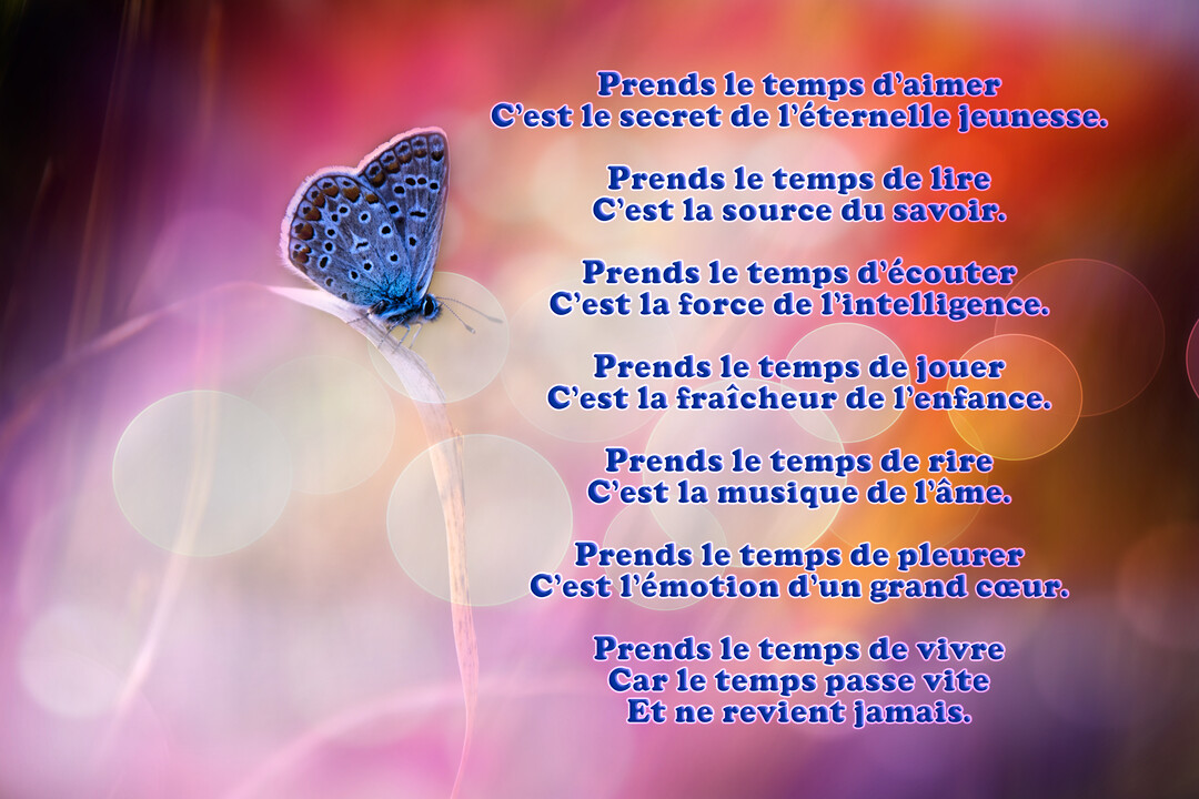 Un poème sur la vie est superposé à l'image d'un papillon bleu délicat posé sur une tige, avec un arrière-plan rose et violet.