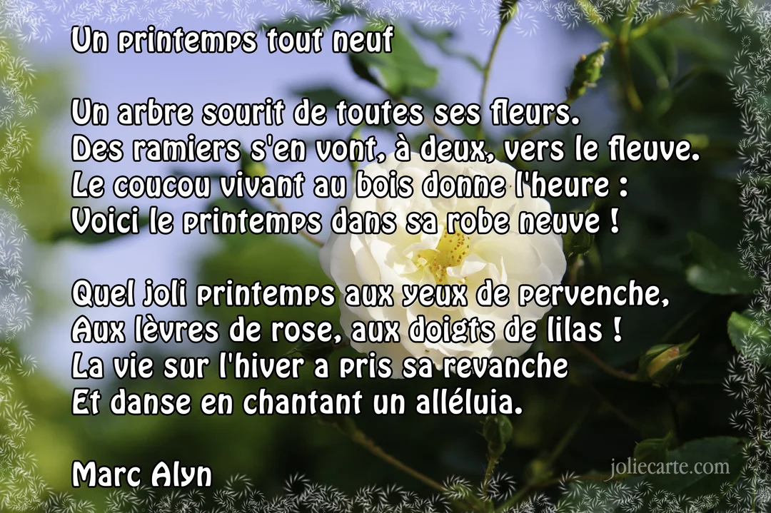 Une carte illustrée par une photographie en gros plan d'une rose blanche au cœur jaune, sur un fond de feuillage vert et de ciel bleu.