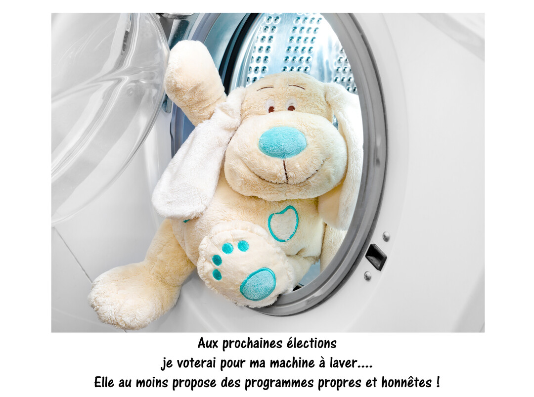Une peluche de chien beige et bleue est assise dans le hublot ouvert d'une machine à laver blanche, sur un fond neutre.
