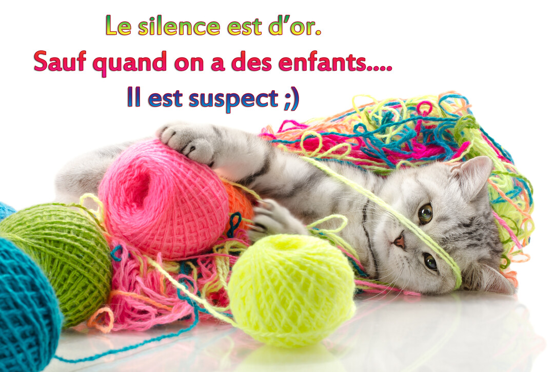 Un adorable chaton gris est couché sur le dos, joueur, au milieu de pelotes de laine multicolores complètement enchevêtrées sur un fond blanc.