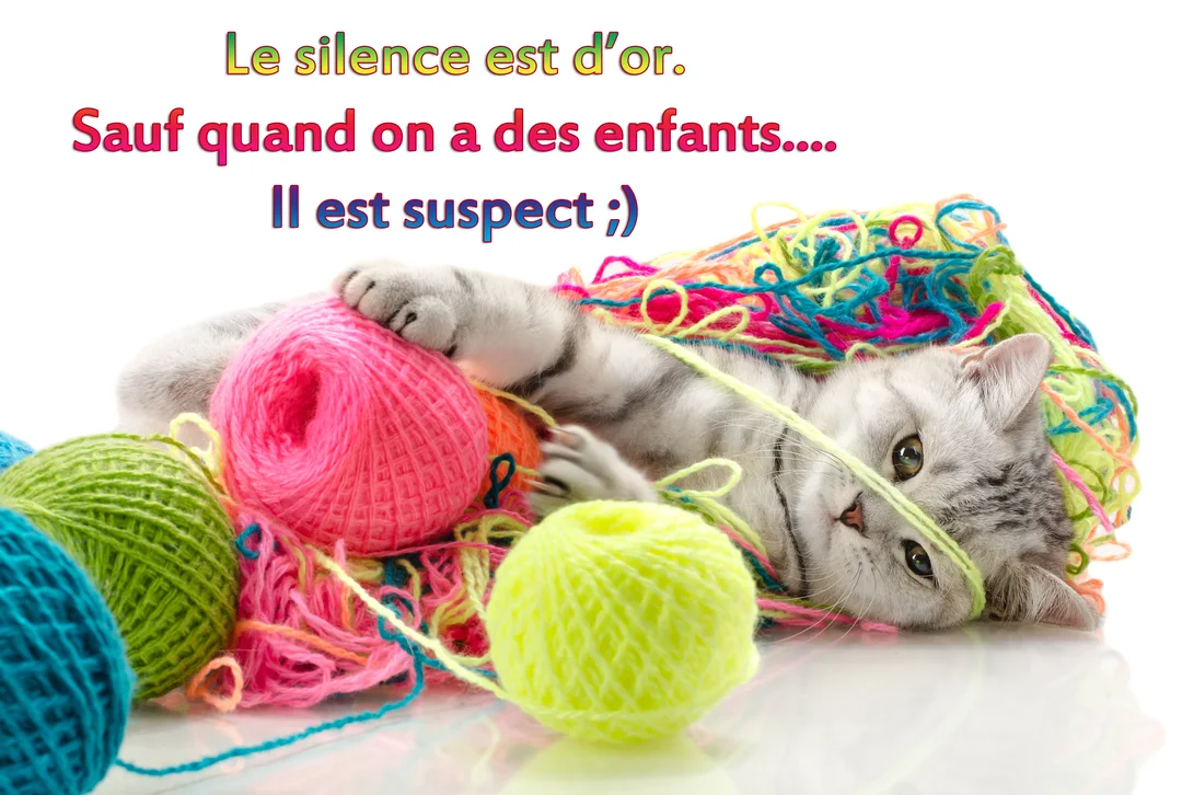 Un adorable chaton gris est couché sur le dos, joueur, au milieu de pelotes de laine multicolores complètement enchevêtrées sur un fond blanc.