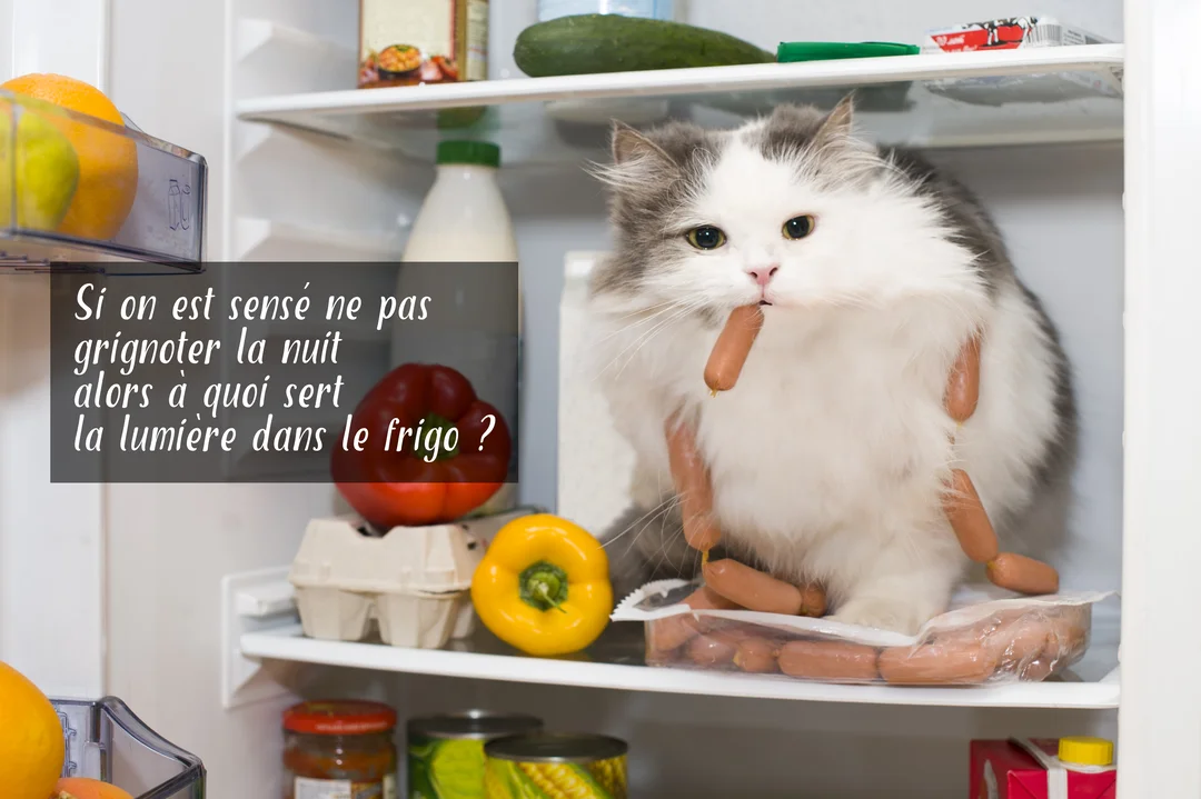 Un chat poilu blanc et gris est assis dans un réfrigérateur ouvert, avec une guirlande de saucisses et une autre dans sa bouche.