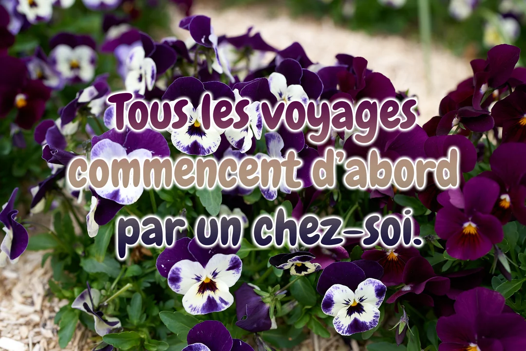 Une photographie de parterre de pensées violettes et blanches, sur laquelle est superposée une citation poétique sur l'importance d'avoir un chez-soi.