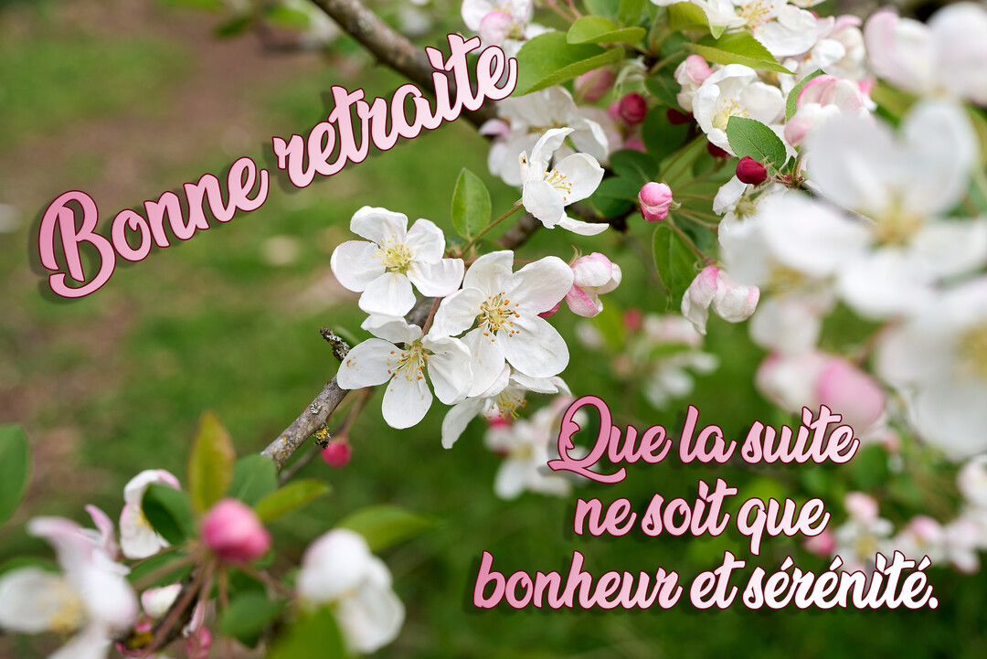 Une branche de pommier en fleurs, avec des pétales blancs et roses sur un fond de verdure flou, illustre des vœux de bonne retraite.