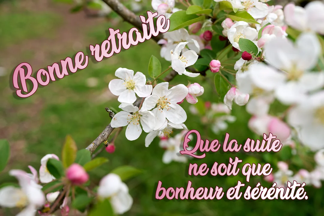 Une branche de pommier en fleurs, avec des pétales blancs et roses sur un fond de verdure flou, illustre des vœux de bonne retraite.