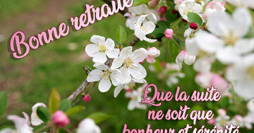 Aperçu de la carte : « Bonne retraite. Que la suite ne soit que bonheur et prospérité... »