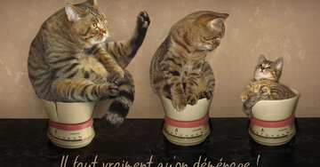 Aperçu de la carte : Il faut vraiment qu'on déménage !