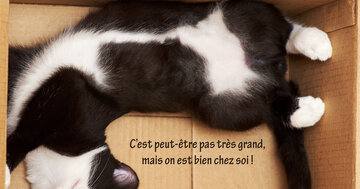 Aperçu de la carte : « C'est peut-être pas très grand, mais on est bien chez soi ! »