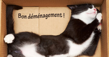 Aperçu de la carte : Bon déménagement !