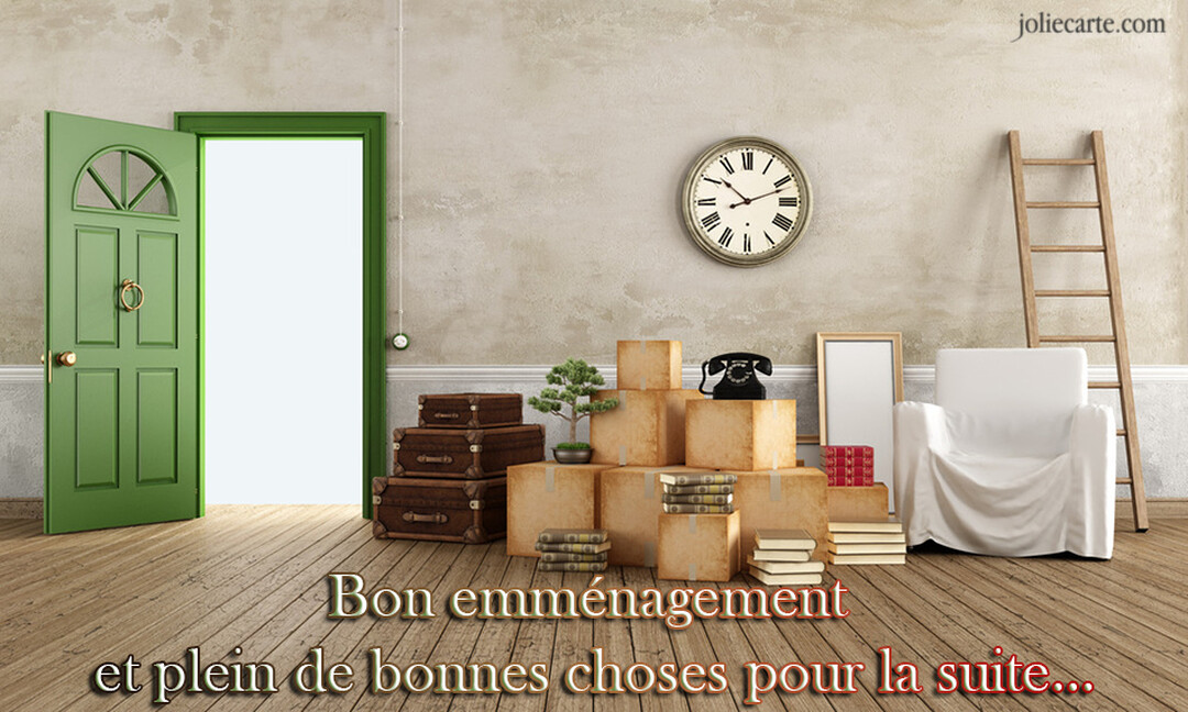 Une scène d'emménagement avec une porte verte ouverte, des cartons empilés, un fauteuil, et des objets vintage dans une pièce aux murs bruts.