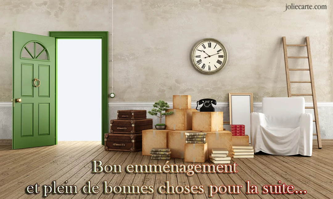 Une scène d'emménagement avec une porte verte ouverte, des cartons empilés, un fauteuil, et des objets vintage dans une pièce aux murs bruts.