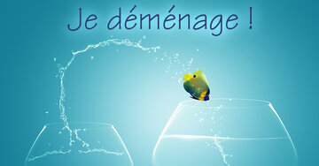 Aperçu de la carte : Je déménage