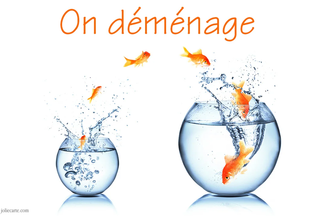Des poissons rouges sautent d'un petit bocal rempli d'eau vers un grand bocal, illustrant la phrase 'On déménage' écrite en orange.