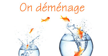 Aperçu de la carte : On déménage