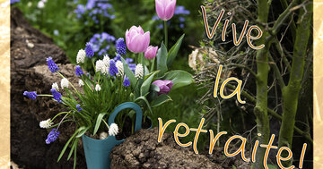 Aperçu de la carte : Vive la retraite