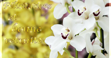 Aperçu de la carte : Félicitations et bonne retraite