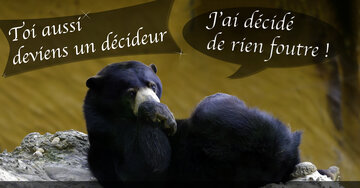 Aperçu de la carte : « Toi aussi deviens un décideur, j'ai décidé de rien foutre... »