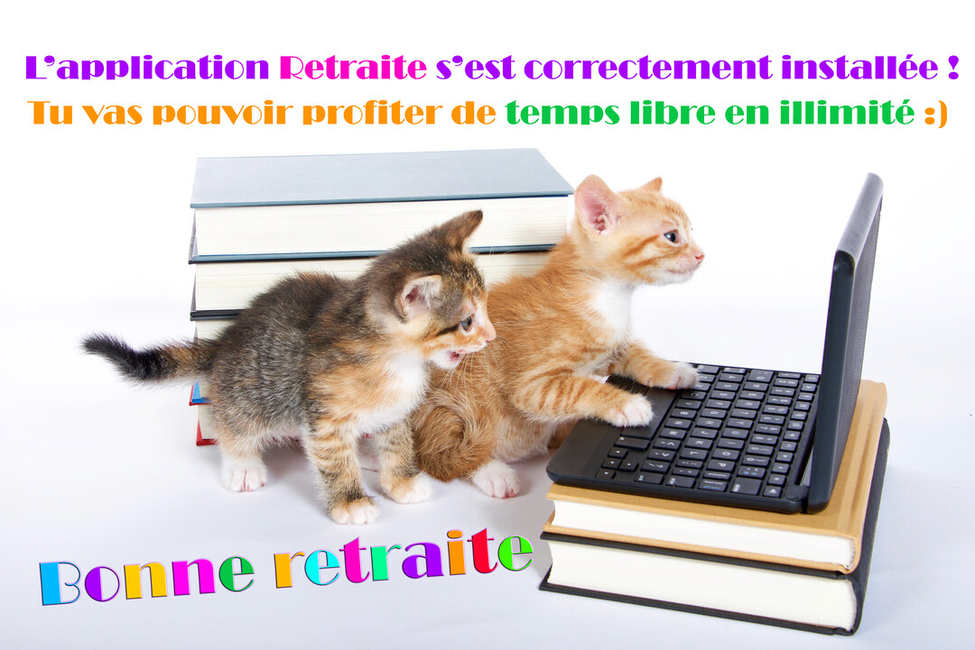 Deux chatons, l'un roux et l'autre tigré, sont près d'un petit ordinateur portable posé sur des livres, sur un fond blanc.