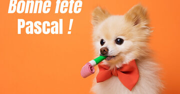 Aperçu de la carte : Bonne fête
Pascal !