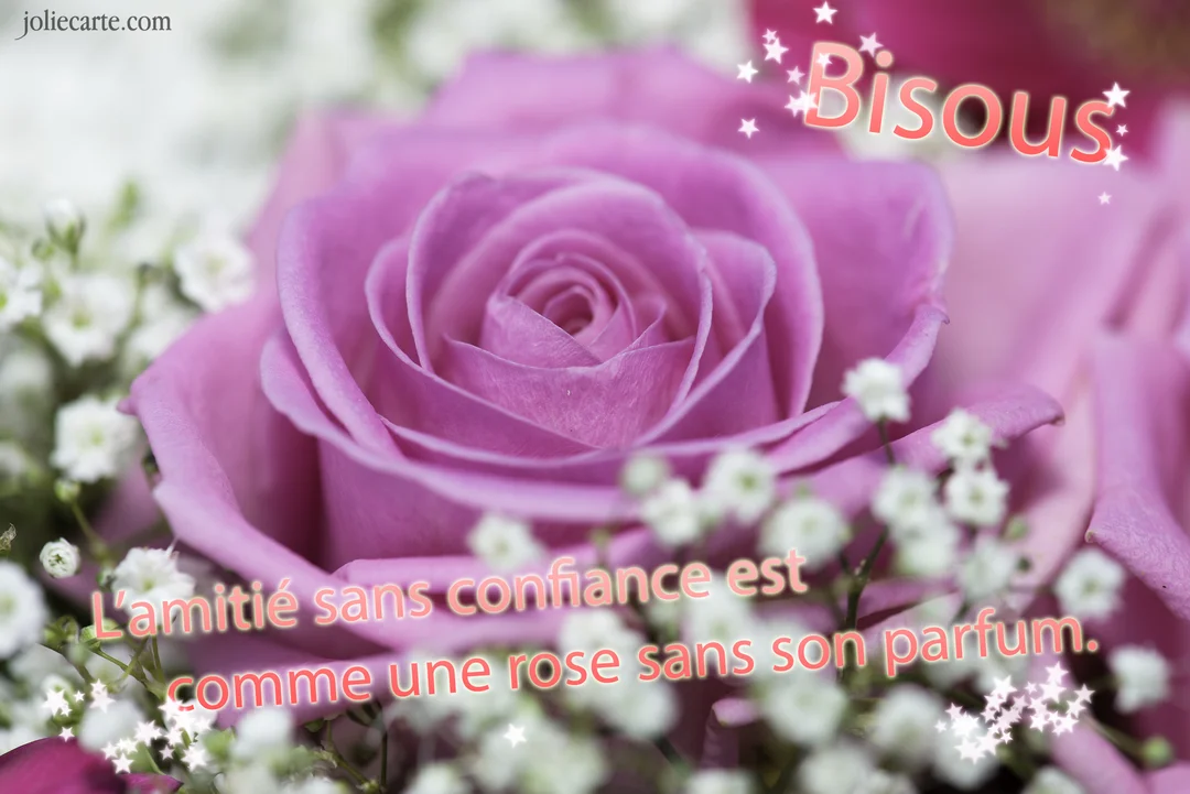 Gros plan sur une rose mauve épanouie, entourée de petites fleurs de gypsophile blanches, avec un texte poétique superposé sur un fond flou.