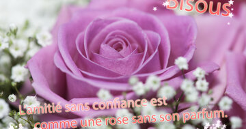 Aperçu de la carte : L'amitié sans confiance est comme une rose sans parfum. Bisous.
