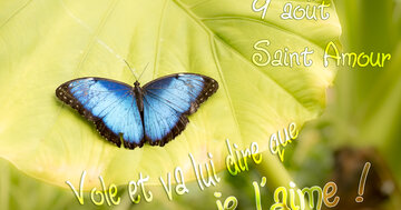 Aperçu de la carte : « Vole et va lui dire que je l'aime... »