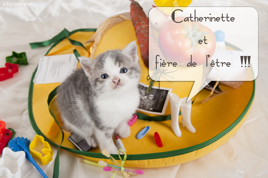 Un jeune chaton gris et blanc est assis dans un chapeau de Catherinette jaune, entouré de petits objets décoratifs et colorés.
