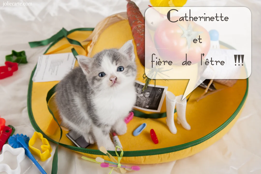 Un jeune chaton gris et blanc est assis dans un chapeau de Catherinette jaune, entouré de petits objets décoratifs et colorés.