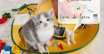 Aperçu de la carte : Catherinette et fière de l'être !!!