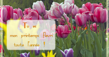 Aperçu de la carte : Tu es mon printemps fleuri toute l'année