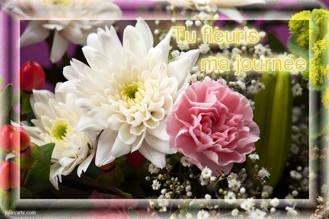 Gros plan photographique d'un bouquet floral, mettant en vedette des chrysanthèmes blancs et un œillet rose, avec le message 'Tu fleuris ma journée'.