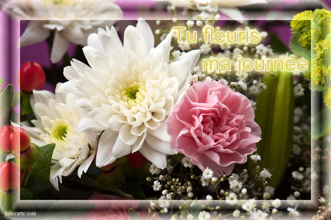 Gros plan photographique d'un bouquet floral, mettant en vedette des chrysanthèmes blancs et un œillet rose, avec le message 'Tu fleuris ma journée'.