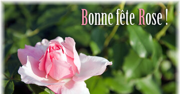 Aperçu de la carte : Bonne Fête Rose !