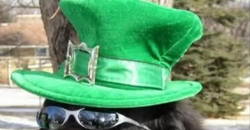 Aperçu de la carte : Bonne Saint Patrick !!