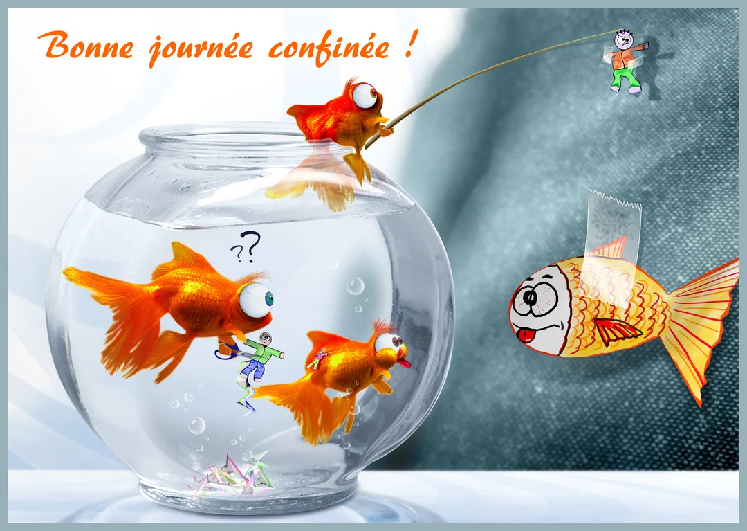 Une scène humoristique où des poissons rouges dans un bocal inversent les rôles en pêchant des bonshommes en papier pour le 1er avril.