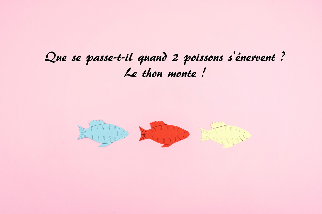 Sur un fond rose, une blague sur le poisson d'avril est écrite au-dessus de trois poissons en papier coloré alignés horizontalement.