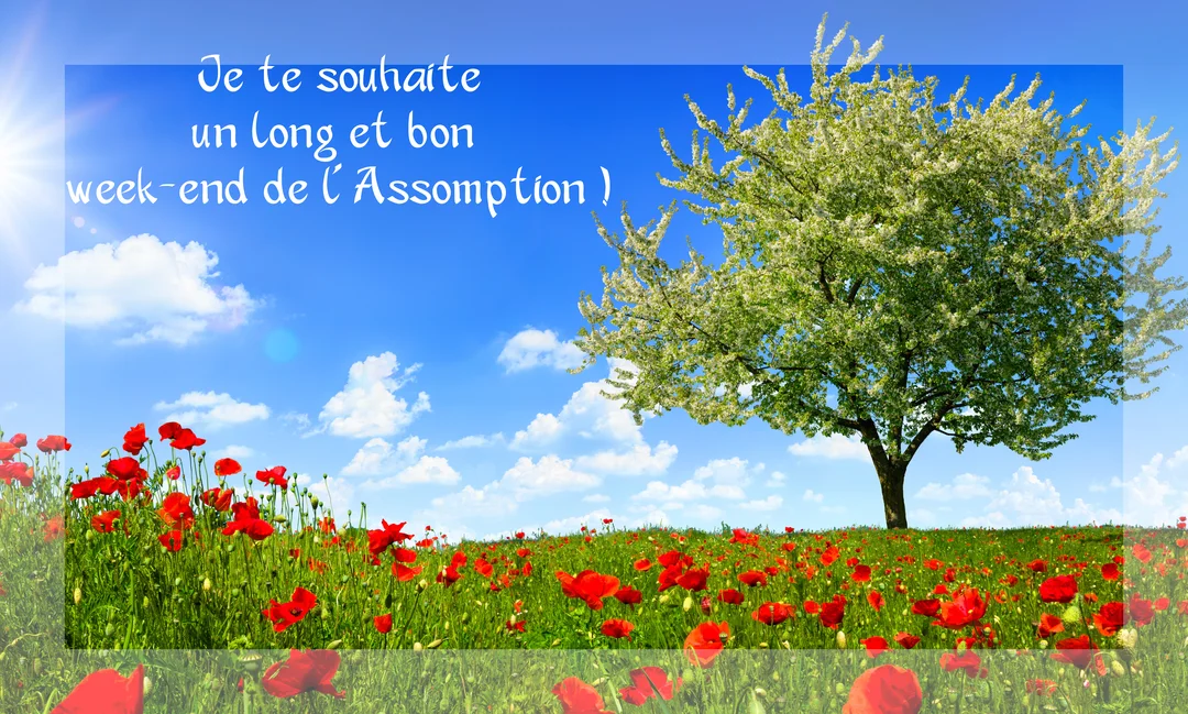 Une carte de vœux pour l'Assomption montrant un paysage de campagne ensoleillé avec un champ de coquelicots rouges et un arbre en fleurs.